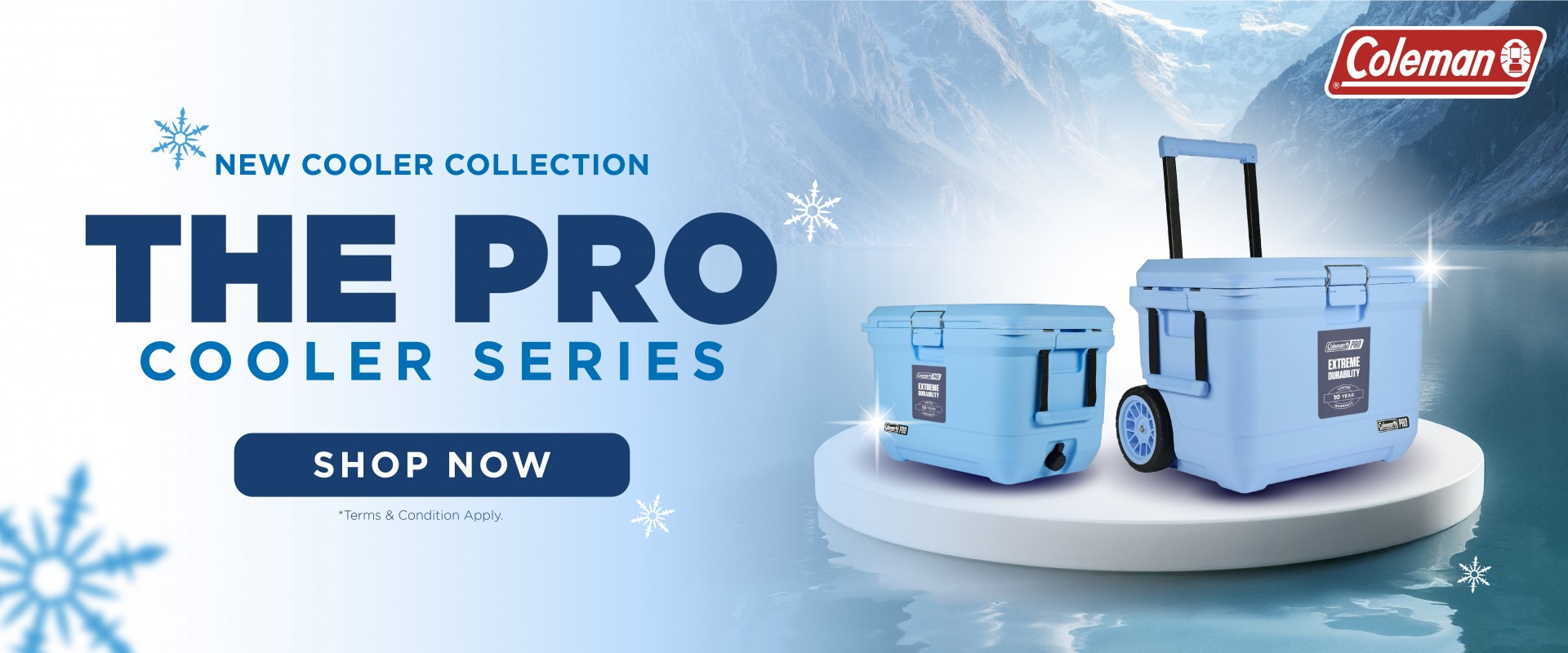 Black Friday 1 - day Sales