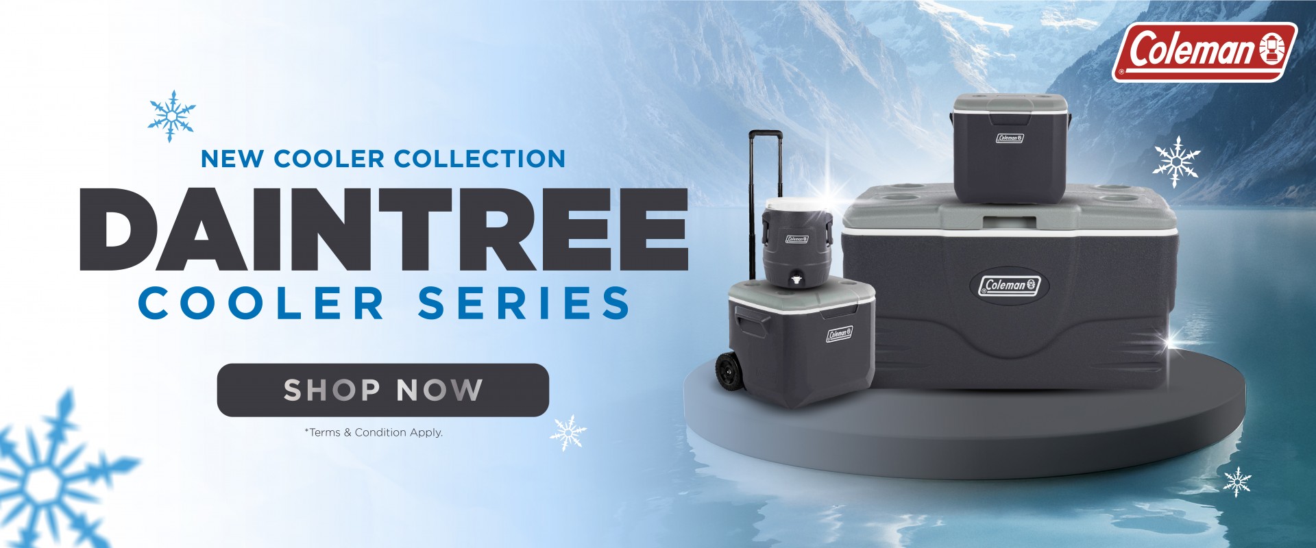 Black Friday 1 - day Sales