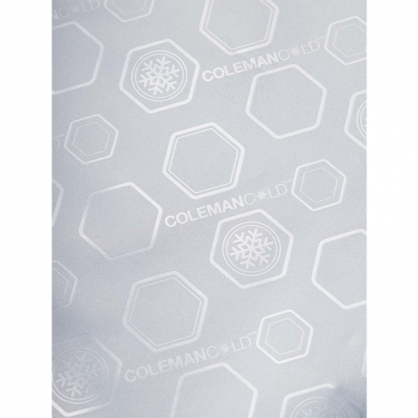 Coleman Daily Cooler Tote/25L (Mist)