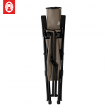 Coleman Lay Chair (Greige) (EX)