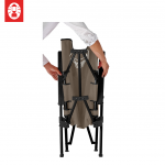 Coleman Lay Chair (Greige) (EX)