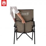 Coleman Lay Chair (Greige) (EX)