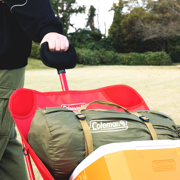 Coleman One-Mile Chair (EX)