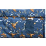 Coleman Cozy II C10/Navy