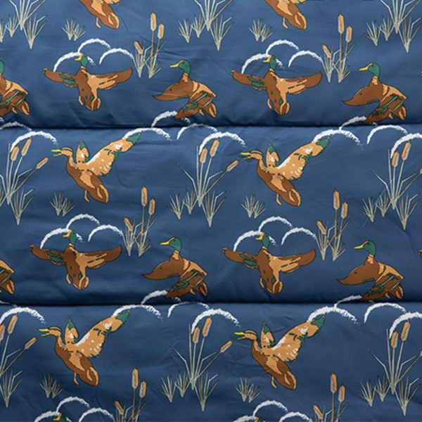 Coleman Cozy II C10/Navy