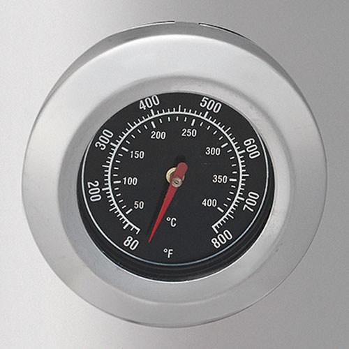 Coleman Stainless Smoker II