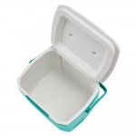 COLEMAN EXCURSION COOLER 16QT(MINT)